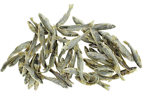 Freeze dried minnows bulk hotsell